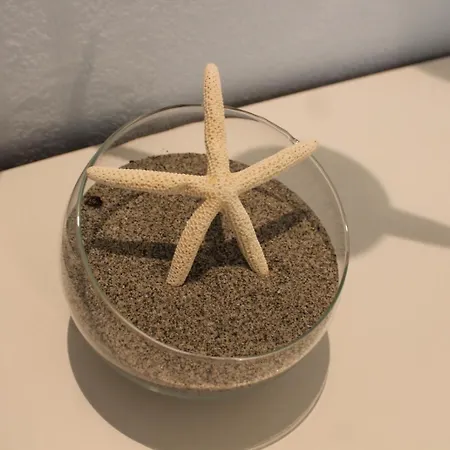 - Sofia Casa de Férias *