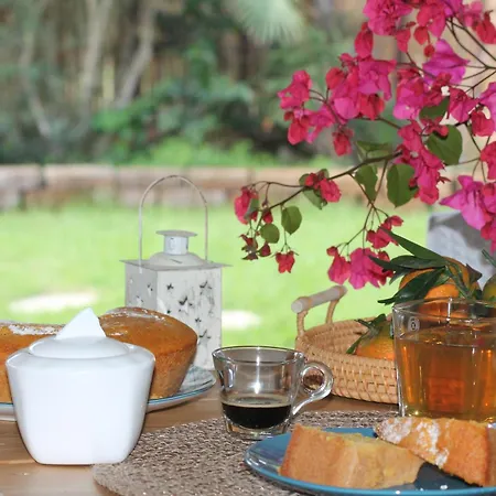 Casa de Férias - Sofia *